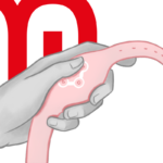 Vorschau 10