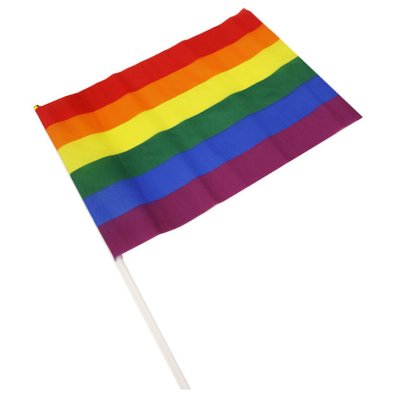 PRIDE - LGBT-FLAGGE MITTELGROSSER WIMPEL