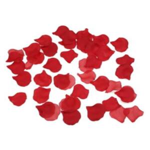 DIABLO PICANTE - 100 rote Blütenblätter