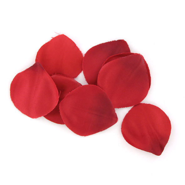 EXTASE SENSUAL - Rote Versuchungstruhe
