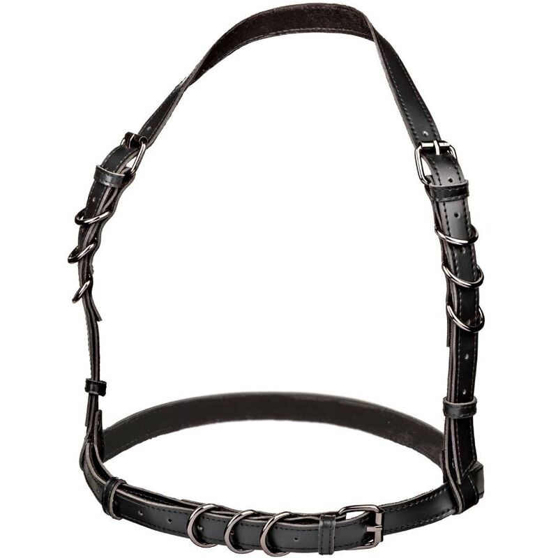 CALEXOTICS - EUPHORIA PLUS SIZE HALTER BUCKLE GURT SCHWARZ