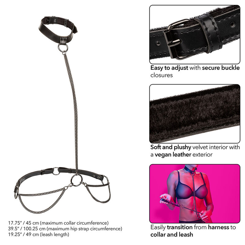 CALEXOTICS - EUPHORIA Kettenhalterhalsband und Leine