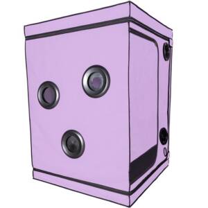 SECRET DOME - KINK CLUB CABIN SCANDALE LILA