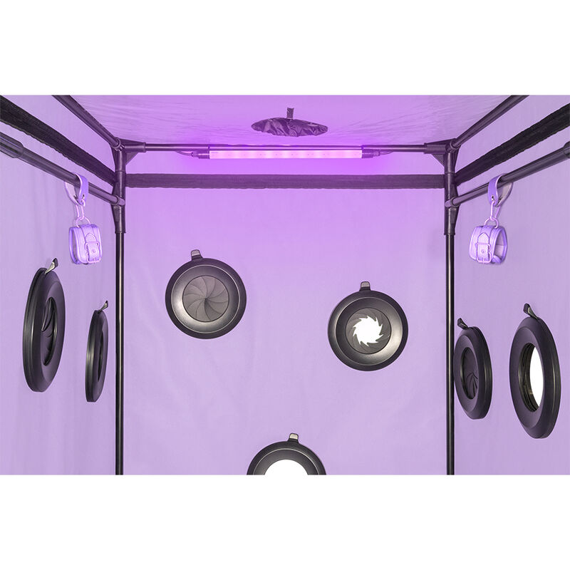 SECRET DOME - KINK CLUB CABIN SCANDALE LILA