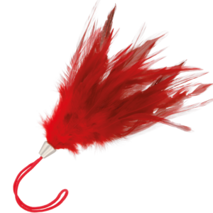 DARKNESS - Roter Stimulierstift 17 cm