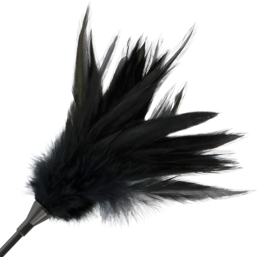 DARKNESS - Schwarze Federpeitsche