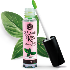 SECRETPLAY - LIPGLOSS VIBRANT KISS MINZE