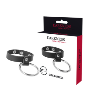 DARKNESS - Metallring für Penis und Hoden