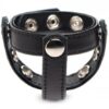 Cock Gear Verstellbarer Leder Penis- und Hodenring mit Nieten – Schwarz